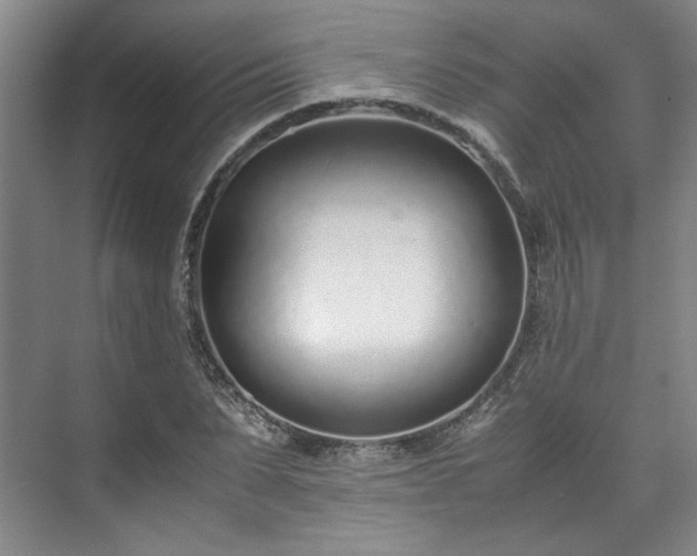 X0000071950879200607141456