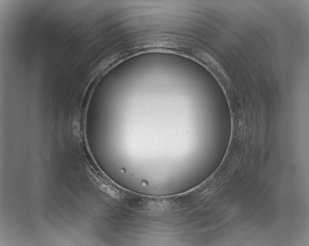 X0000071950882200607141456