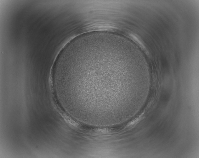 X0000071950883200607141456