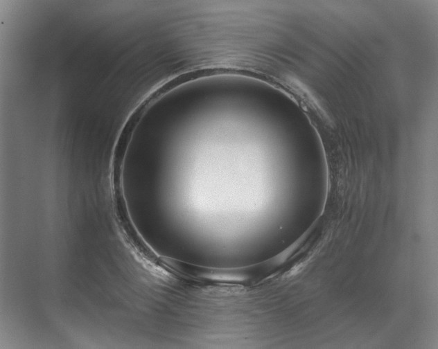 X0000071950884200607141456