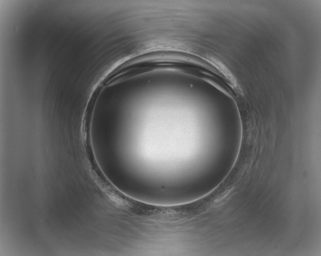 X0000071950885200607141456