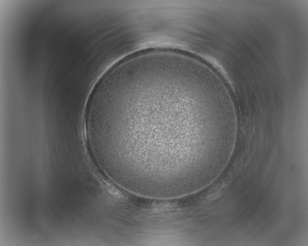 X0000071950887200607141456