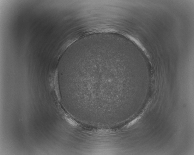 X0000071950889200607141456