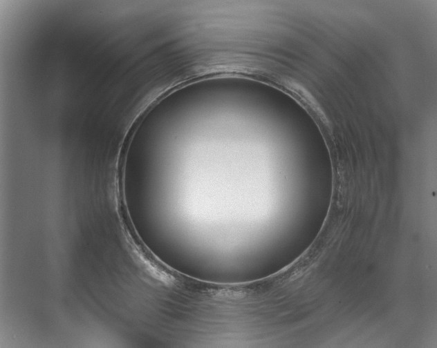 X0000071950890200607141456