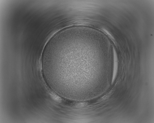 X0000071950891200607141456