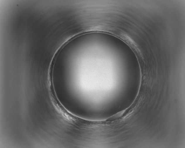 X0000071950892200607141456