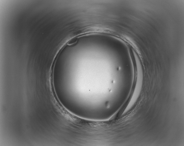 X0000071950899200607141456