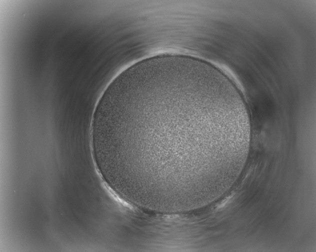 X0000071950903200607141456