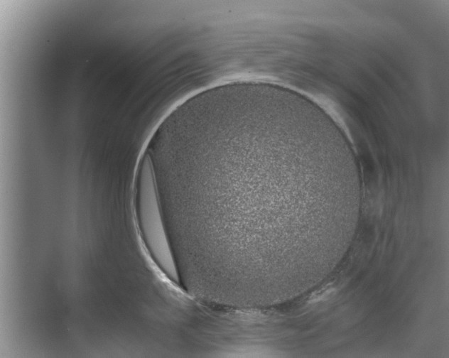 X0000071950911200607141456