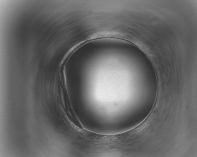 X0000071950912200607141455