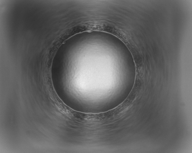 X0000071950913200607141455