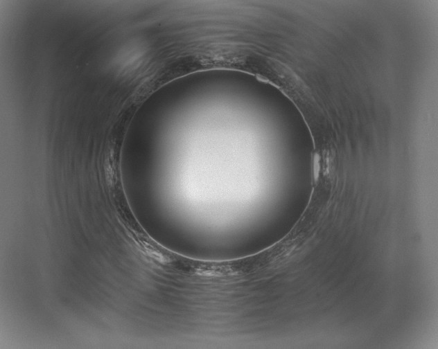 X0000071950915200607141455