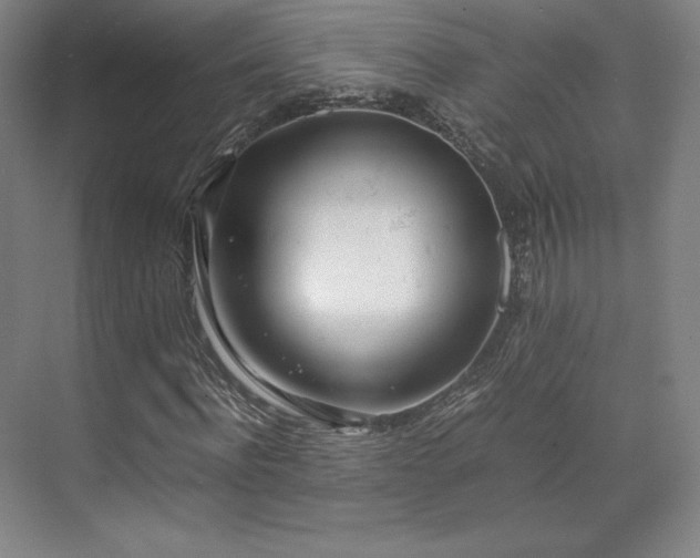 X0000071950916200607141455