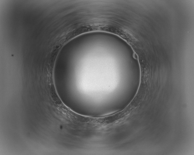 X0000071950917200607141455