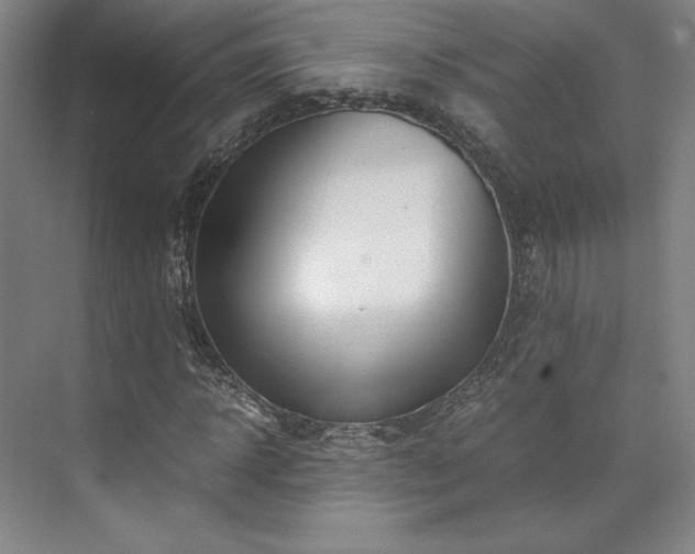 X0000071950918200607141455