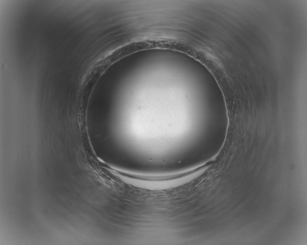 X0000071950920200607141455