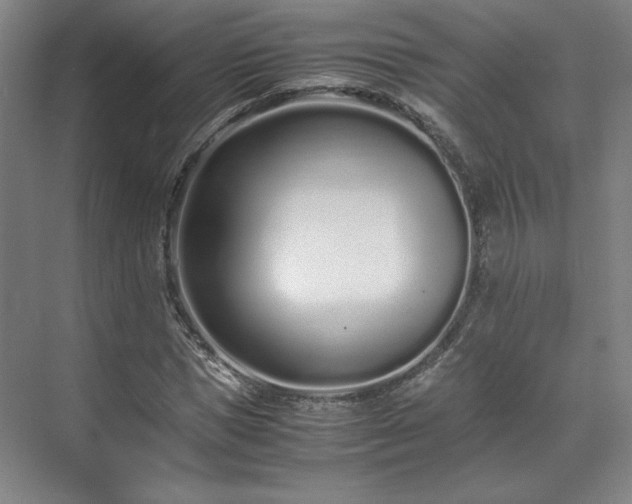 X0000071950921200607141455