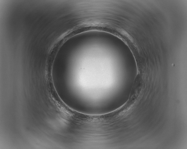 X0000071950922200607141455