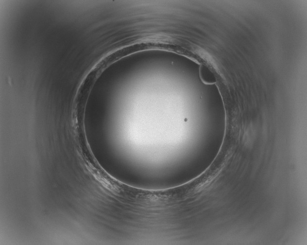 X0000071950923200607141455