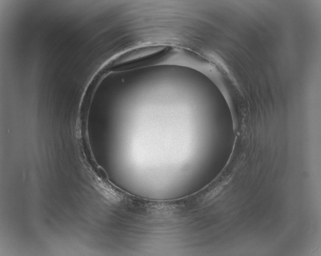 X0000071950924200607141455