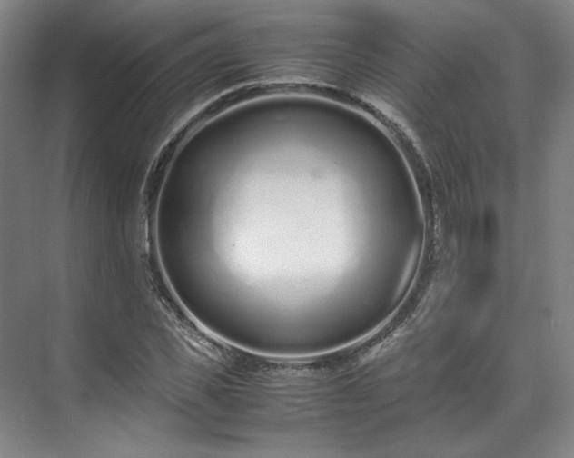 X0000071950925200607141455