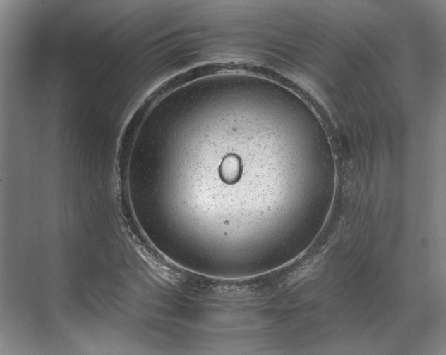 X0000071950927200607141455