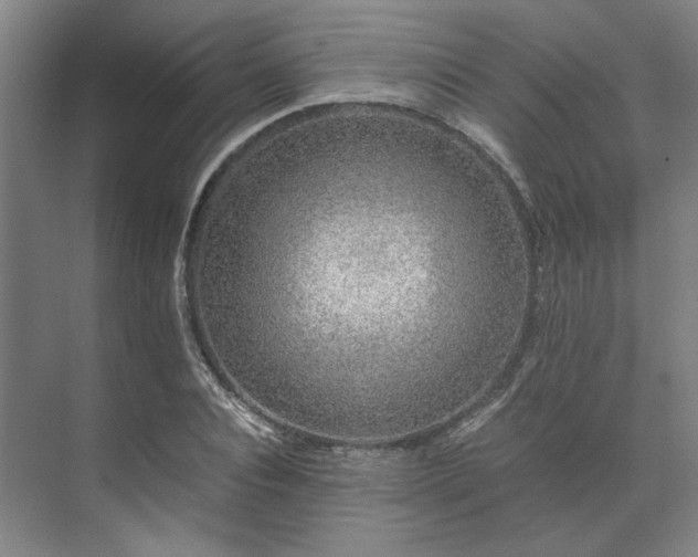 X0000071950928200607141455