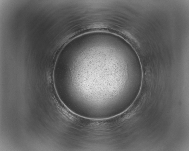 X0000071950929200607141455