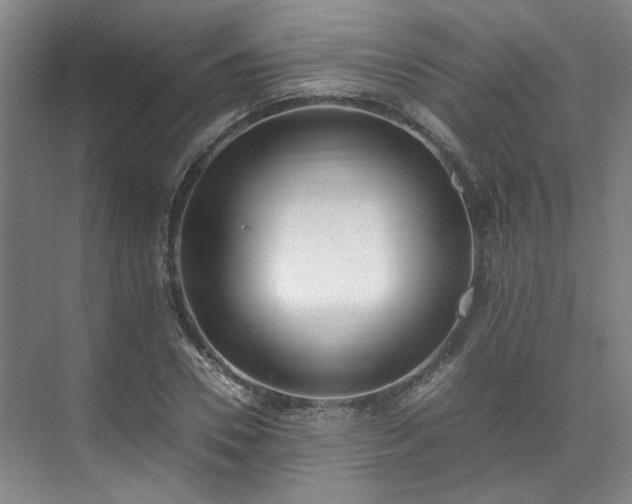 X0000071950930200607141455