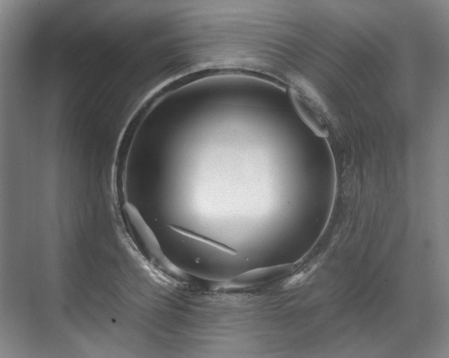 X0000071950932200607141455