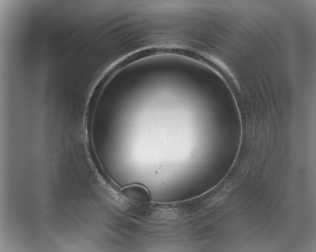 X0000071950935200607141455