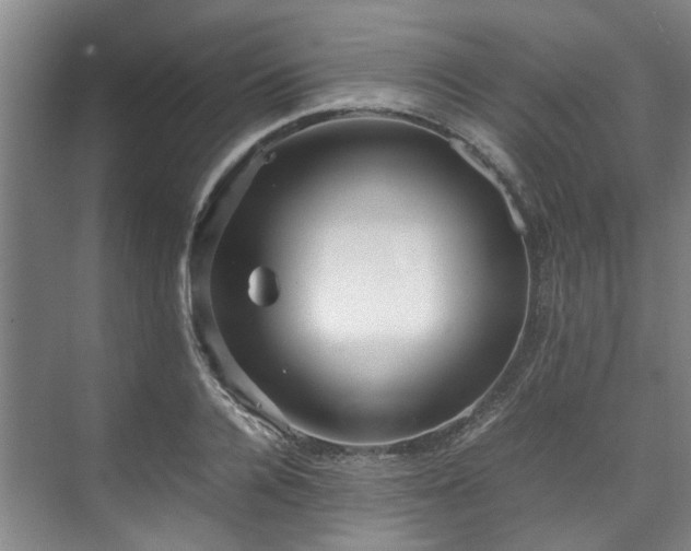 X0000071950936200607141455