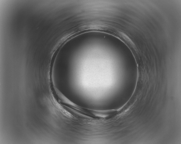 X0000071950938200607141455