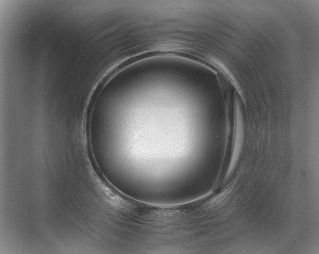 X0000071950939200607141455