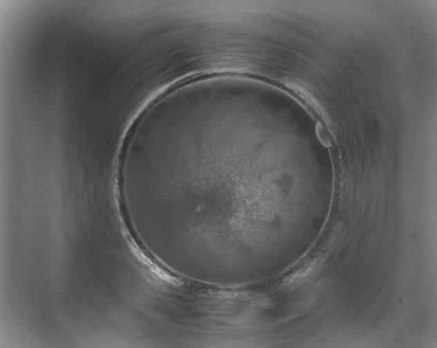 X0000071950941200607141455