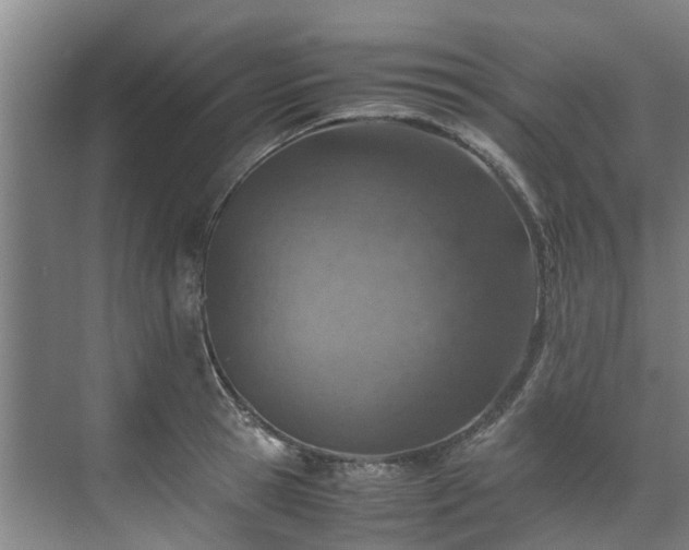 X0000071950945200607141455