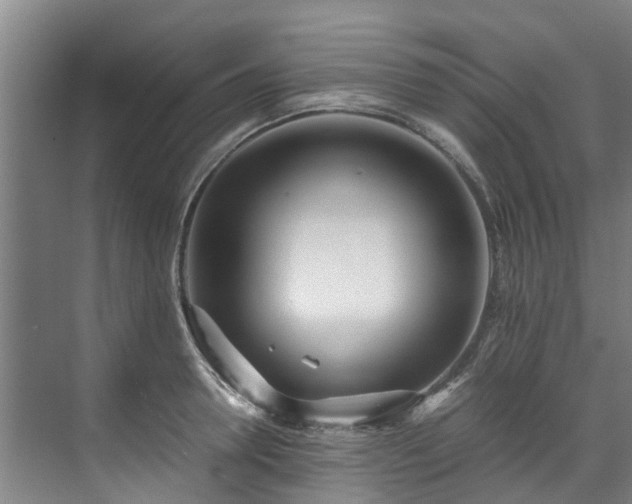 X0000071950946200607141455