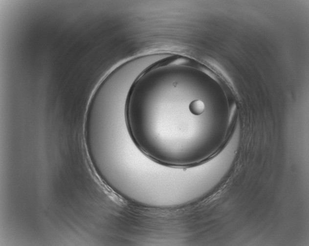 X0000071950948200607141455