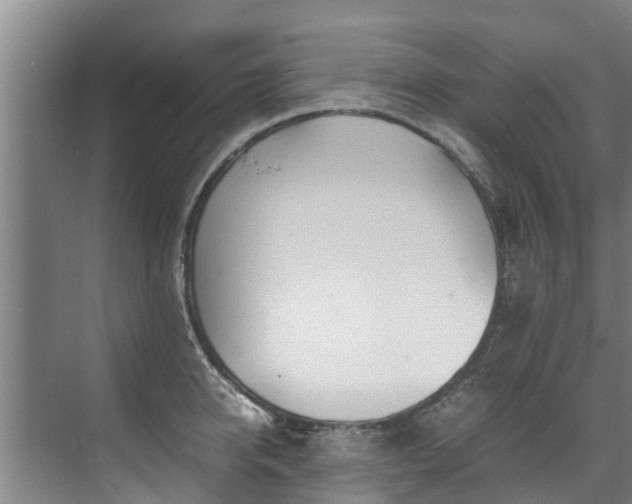 X0000071950950200607141455