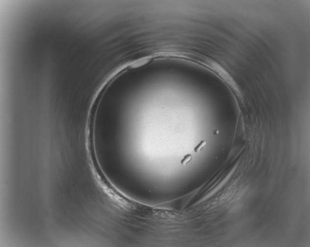 X0000071950955200607141455