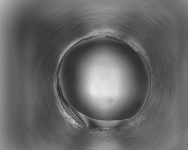 X0000071950960200607141455