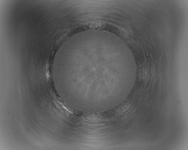 X0000071950962200607141455