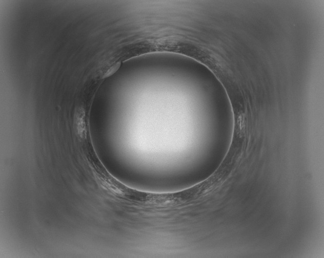 X0000071950963200607141455