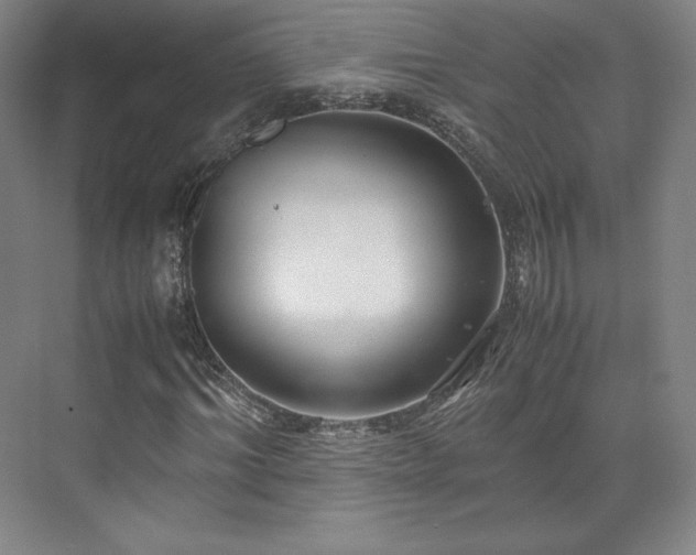 X0000071950964200607141455