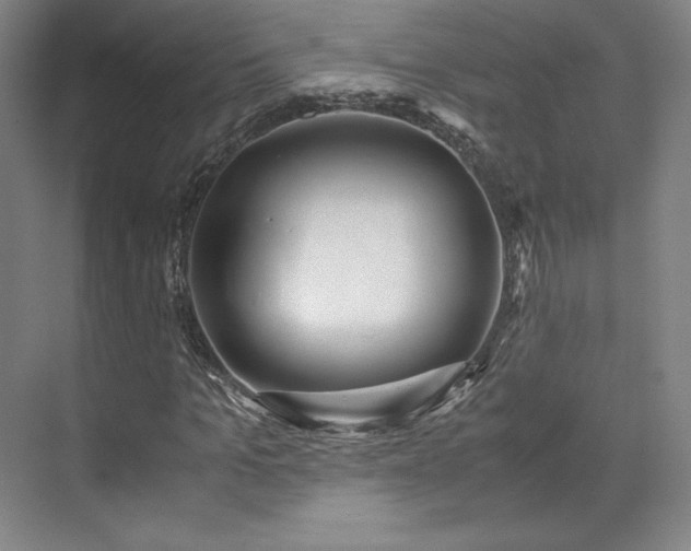 X0000071950965200607141455