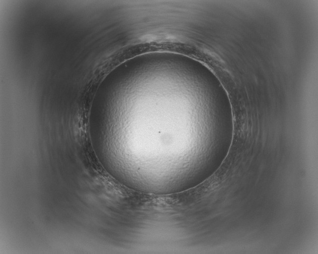 X0000071950966200607141455