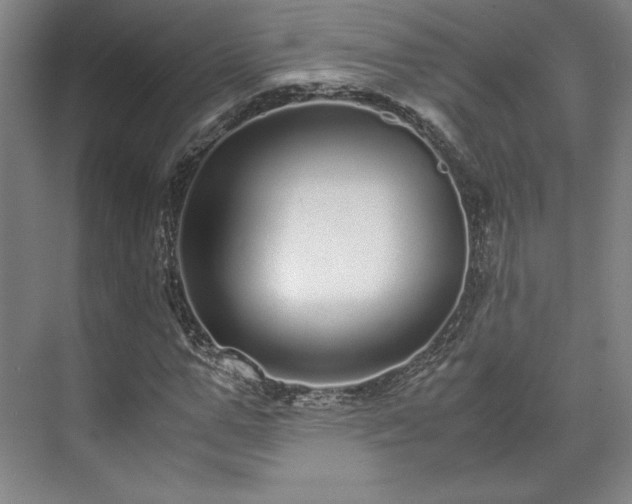 X0000071950967200607141455