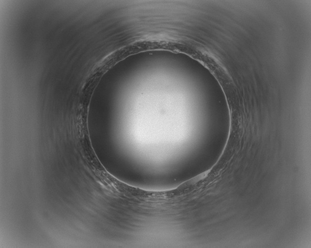 X0000071950968200607141455