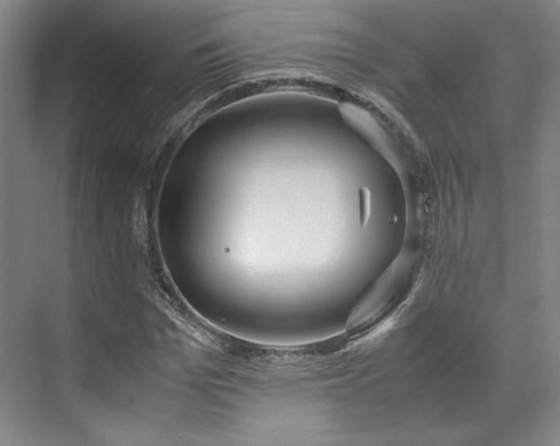 X0000071950969200607141455