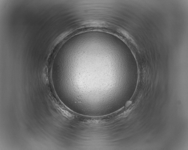 X0000071950970200607141455